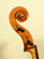 Testa violoncello mod. S.Seraphin 1732 venezia